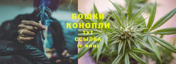 винт Липки