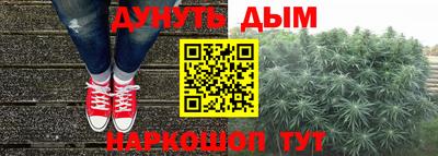 прущие грибы Апшеронск