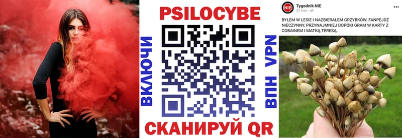 Псилоцибиновые грибы Cubensis  где купить наркоту  Пенза 