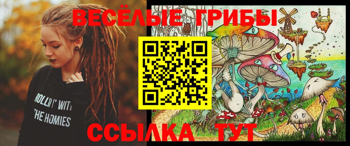 Псилоцибиновые грибы Psilocybe Пенза