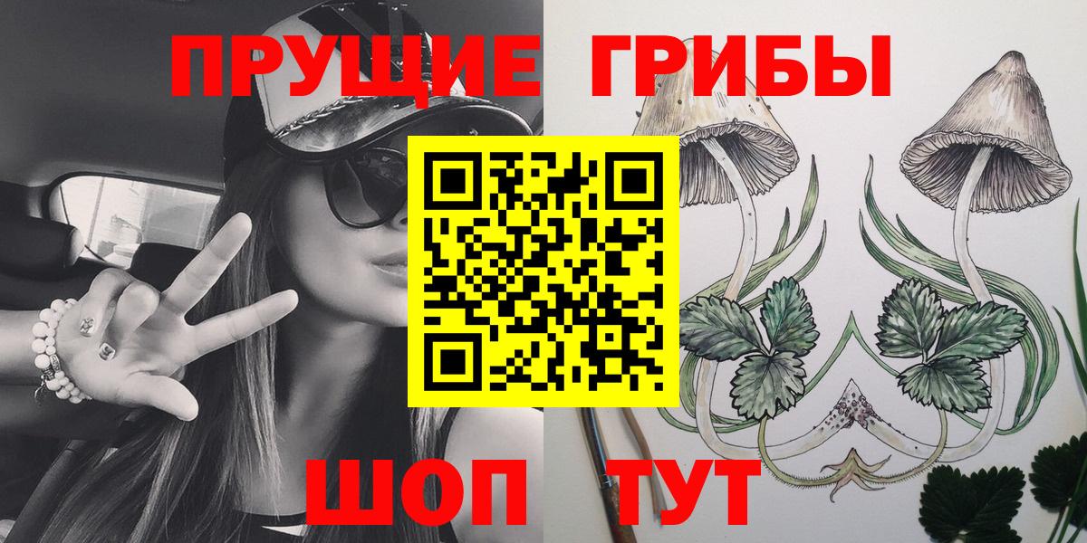 купить   Галлюциногенные грибы мицелий  Пенза  Вход с VPN  Псилоцибиновые грибы мицелий 