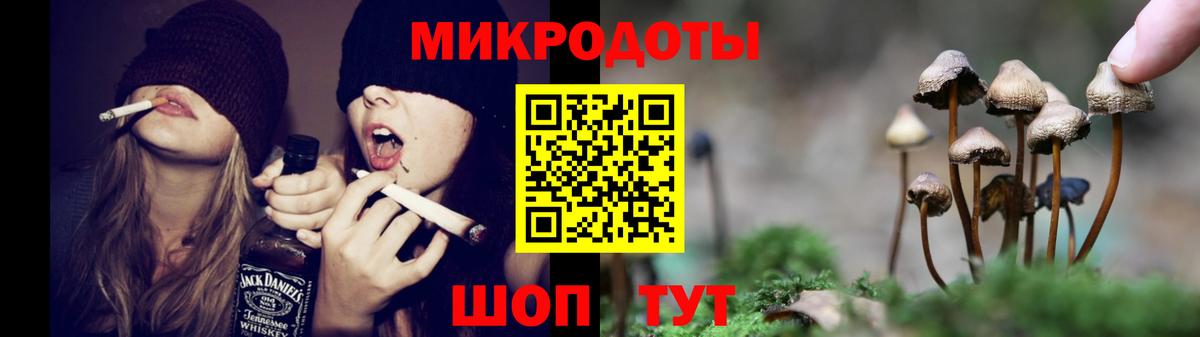 Галлюциногенные грибы MAGIC MUSHROOMS  закладки  Пенза 